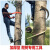 国标加厚型电工脚扣爬木杆电线杆电信杆脚钩登杆工具爬树 200型木杆10-20cm