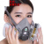 京仕蓝防毒面具口罩喷漆防粉尘油漆专用呼吸防护化工气体工业全面 6003滤盒一对