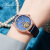 豪法（HaofaTOURBILLON） 手表 新款镂空飞行陀飞轮镶钻机械表 时尚防水商务女士腕表 静谧·星蓝