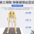 科睿才骨科器械 猫狗骨骼标本模型 猫犬骨架骨头模型 教学骨架骨骼模型 猫骨 Y1009835 
