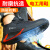 京途（Jingtu）2025N-10 10kV 绝缘鞋 黑色 43