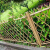 德威狮 不锈钢仿竹护栏  户外公园篱笆栅栏草坪园林绿化带防腐围栏公园景区竹节栏杆 绿色高60cm 单位：组