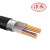 津西 铜芯铠装交联电力电缆（ZR/ZC）YJV22  4芯(单位：米) 4X4