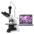 江西PH100-3B41L-EP/PL/IPL三目光学显微镜 可接摄像头高清晰 PH100-2A41L-PL