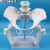 安达通 女性骨盆带二节腰椎模型 人体骨骼模型 盆骨模型 腰椎 股骨 自然大女性骨盆带二节腰椎及股骨 15395