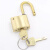 沸耐笙 FNS-24337 电力表箱锁加油站油罐黄铜锁 50mm通开一锁一钥匙短梁 1把