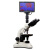 江西凤凰显微镜PH50-3A43L-A双目光学生物1600倍1精子水产养殖 9寸显示屏/不含仪器 非凤凰