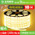 上海亚明220v高压灯带led灯条超亮外墙商用室外户外防水线灯带 亚明144灯珠灯带(送插头7