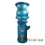 定制适用大流量低扬程灌溉水泵 200QSH8寸潜水泵 漂浮潜水轴流泵 300QSH-15-37
