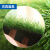 科力邦（Kelibang）仿真人造草坪地毯 塑料假草皮阳台公园装饰绿植绿色地毯 足球场草坪 加密夏草25mm KB1218