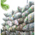 装饮料瓶网包水瓶收纳网袋收废品袋子包装泡沫尼龙网袋编织袋加厚 加厚2.4X1.4装60斤左右