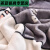 德国品质毛毯被子加厚冬天加绒双层舍尔盖毯冬季双人保暖学生宿舍 恐龙宝宝 150cmX200cm加厚款约5斤