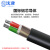 沈津 ZR-VLV22-0.6/1KV-2*25mm² 国标铝芯铠装阻燃电力电缆 1米