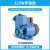 增压泵自吸泵220V全自动小型抽水泵自来水管道加压泵防冻 普通370W全自动
