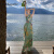 拉夏贝尔（La Chapelle）实拍女装连衣裙夏季海边度假风花卉印花挂脖露肩吊带沙滩长裙 图片色 S