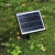 博雷奇太阳能户外防水发光造型灯卡通灯甲虫布置草坪灯别墅景区花园 发光3只甲虫-太阳能款-暖光