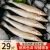 鲜渔翁 青岛海捕冷冻沙丁鱼 500g10-15条 袋装海鲜水产 烧烤食材 冷冻沙丁鱼4斤
