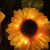 时宴太阳能庭院灯户外防水花园向日葵灯插地草坪景观氛围装饰灯向 向日葵灯(十只装)