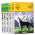 狼王梦 沈石溪 动物小说全集 系列全套5册斑羚飞渡 后一头战象第七条猎狗
