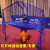 双鱼（DOUBLE FISH） 乒乓球发球机超级三代台式落地式智能初学级发球器 乒乓球训练器 E6 附集球网、乒乓球