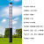 适用于方形景观灯柱户外景观灯庭院太阳能D3米防水道路灯小区园林工程 款式五2.5米