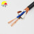 丰旭 电线电缆 RVVP2芯2.0平方控制电缆 2芯信号线 两芯屏蔽线 RVVP2*2.0 200米