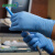柯沃丁腈手套APFGWCHD加厚级耐油耐酸碱防滑实验室半导体餐饮 蓝色3.5克经济型 M