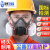 定制防毒面具喷漆专用甲醛化毒气体半面罩脸防护呼吸面 ()6200防尘毒面具