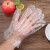 一次性手套薄膜卫生男女餐饮透明塑料手膜手套批发 普通款500只
