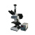 BM上海彼爱姆荧光显微镜XSP-BM-13CD（电脑、落射）