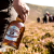 芝华士（Chivas Regal）苏格兰调和型威士忌酒 原装进口洋酒 芝华士富豪12年 4500mL 1瓶