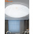 佛山照明LED吸顶灯卧室客厅吸顶灯灯具圆形走廊阳台小吸顶灯 25w全白(直径38厘米)