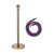 月桐（yuetong）圆球金色礼宾杆隔离护栏含麻绳 YT-D0490 含金色杆+银钩紫色麻绳 950×320×51mm 1套
