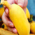 宛屿苹果蕉 正宗超甜小香蕉香蕉水果苹果粉蕉芭蕉 1斤装 1斤