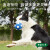 贝意品乳胶大号足球狗狗玩具趣味发声可水洗互动宠物用品 【狂欢世界杯】中大型犬足球