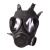 骑先锋FNJ05型防毒面具 活性炭过滤防护面罩 面具+迷彩包+君品罐+盒子