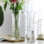 呈爱透明玻璃花瓶简约加高贵竹百合水培绿萝植物富花瓶客厅插花摆件 斜纹 高30厘米