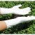 工业用一次性手套 12寸白丁晴加长一次性乳胶手套修理加厚橡胶胶 12寸(加长加厚)白色50只 XL