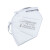 德威狮9389 化工防毒面具 喷漆防油烟粉尘农异味 防尘毒口罩（A-2面罩） 6002型10个 一护口罩系列