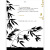 后浪官方正版 树之千面 一本关于树木的知识宝库 自然科学 植物学 树木科普百科书籍