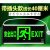 应急指示牌安出口消防疏散标志灯楼层通道LED带电池紧急逃生灯 插头款线长40cm-单面正向