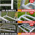园林三角梯果园采摘梯子铝合金三脚梯园艺人字梯绿化修剪树枝 10步3.41米单支撑杆