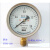 北京布莱迪氧气压力表YTFO-100(禁油氧气专用   外螺纹M20*1.5 0-10MPA