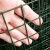 祥利恒荷兰网 铁丝网围栏 防护网护栏网隔离网 养鸡网养殖网建筑网栅栏 1.5米*30米 18kg