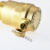 博雷奇铜平口自动暖气排气阀 管道水管放气阀 不锈钢平口排气阀DN20 6分(10个)