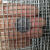 304不锈钢电焊网片防鼠网钢丝围栏窗户防护焊接网筛网防盗网 丝0.8mm/孔12mm/1X1米