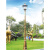 御舵（双头2.5米古铜色（加厚灯杆））欧式户外防水庭院花园别墅草坪灯小区路灯室外 景观3米高杆灯X14
