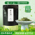 张一元茶叶明前茶2024年新茶绿茶春茶特级（仙芝竹尖）