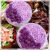 北创紫薯芋泥桶水果麦脆蛋糕装饰烘焙原材料巧克力片香芋味松露脆 彩色混合装1000g