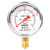 红旗（HONGQi）YTN-60径向充油抗震水压表0-0.4mpa耐震防震油压表气压表M14*1.5	